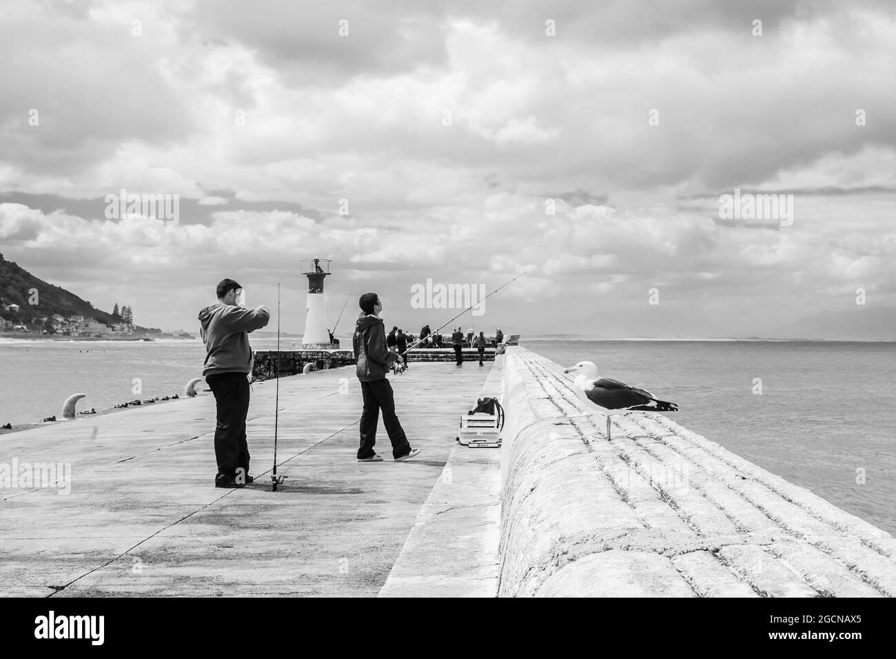 KAPSTADT, SÜDAFRIKA - 05. Jan 2021: Eine Graustufe von zwei Teenagern, die mit Rute fischen und sich von einem Hafen in Kapstadt, Südafrika, abspulen Stockfoto