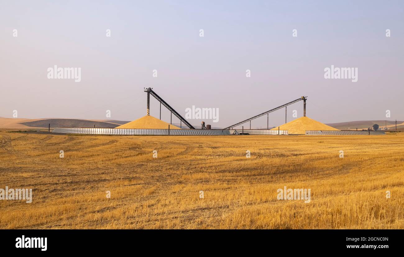 Tragbare Getreidelagerkreise, im Nordosten von Washington, USA Stockfoto