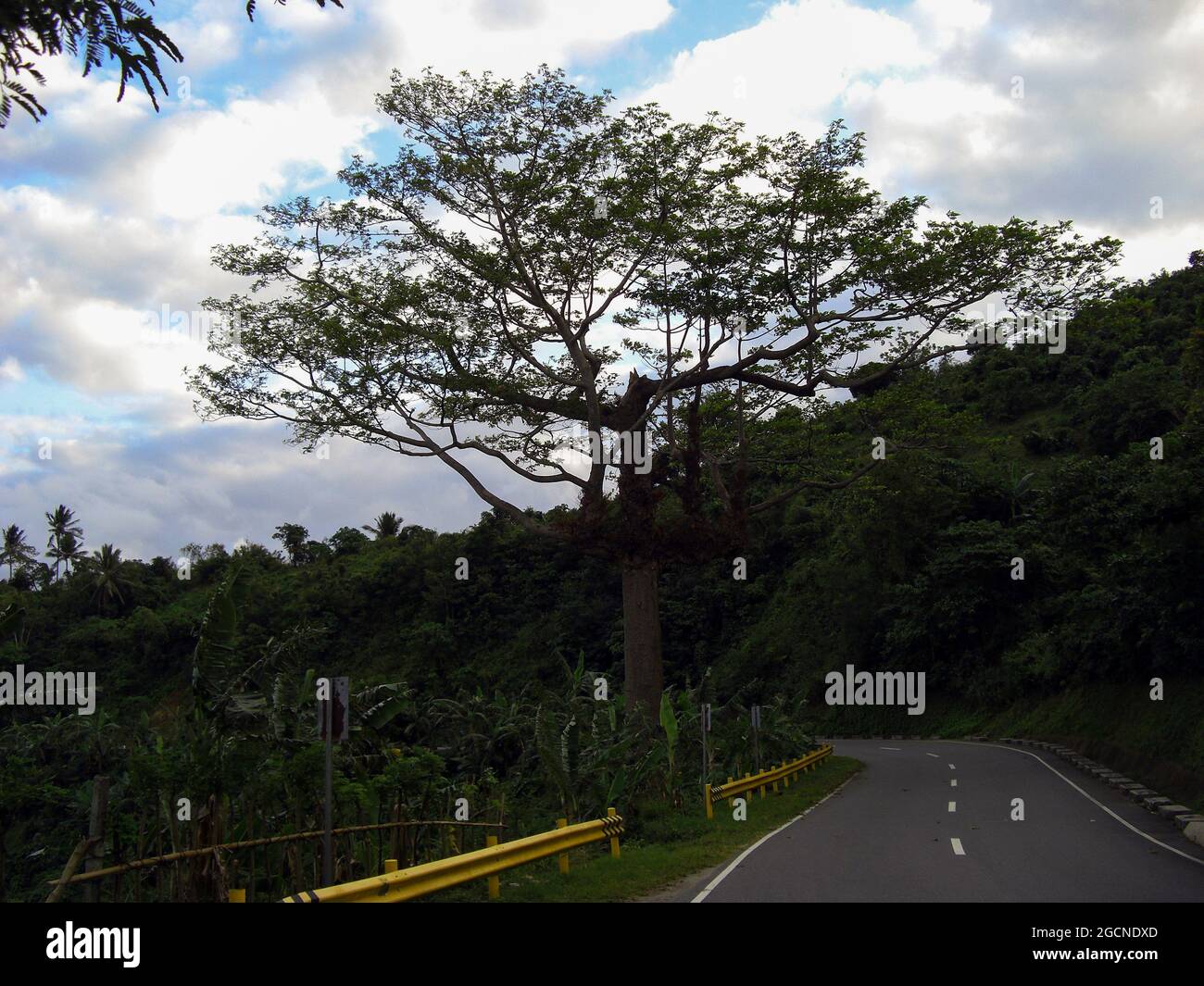 Landschaft auf der Insel Mindoro auf den Philippinen 28.1.2014 Stockfoto