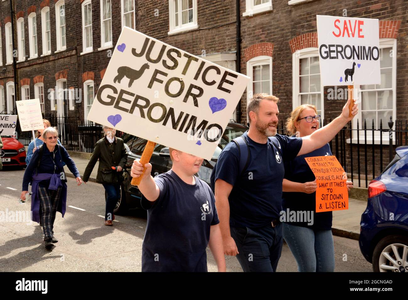 Die Demonstranten trafen sich bei der DEFRA und marschierten dann zur Downing Street, um gegen das Todesurteil gegen Geronimo, den Alpaka, zu protestieren. Stockfoto