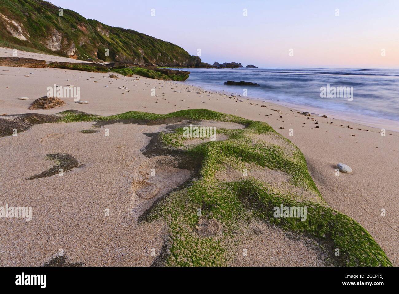 Moosige Felsen und ein Strand auf lord howe Island Stockfoto