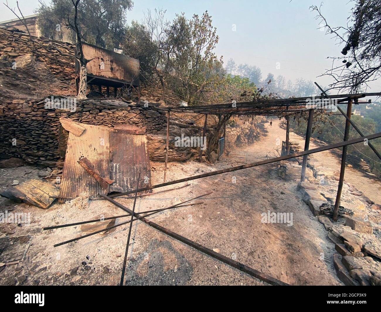 (210809) -- MILAS (TÜRKEI), 9. August 2021 (Xinhua) -- das Foto vom 9. August 2021 zeigt verbrannte Anlagen nach einem Waldbrand in Milas, Provinz Mugla, Türkei. Die Türkei hat vor 13 Tagen gegen massive Waldbrände gekämpft, die in den südlichen und südwestlichen Küstenortstädten ausbrachen. Die meisten von ihnen wurden nach Angaben der Stadtbehörden unter Kontrolle gebracht. (Xinhua) Stockfoto