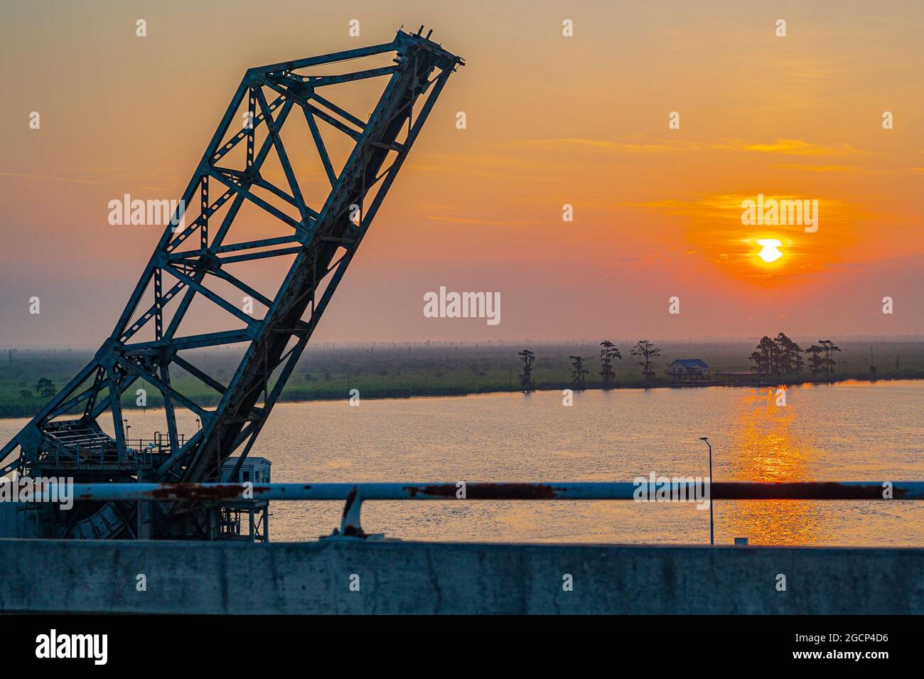 Sumpfaufgang Stockfoto