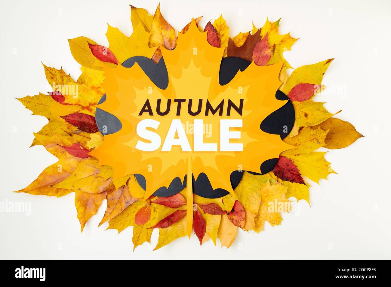 Hallo oktober. Herbsthintergrund mit Verkaufsbanner und Blättern auf weißem Hintergrund. Stockfoto