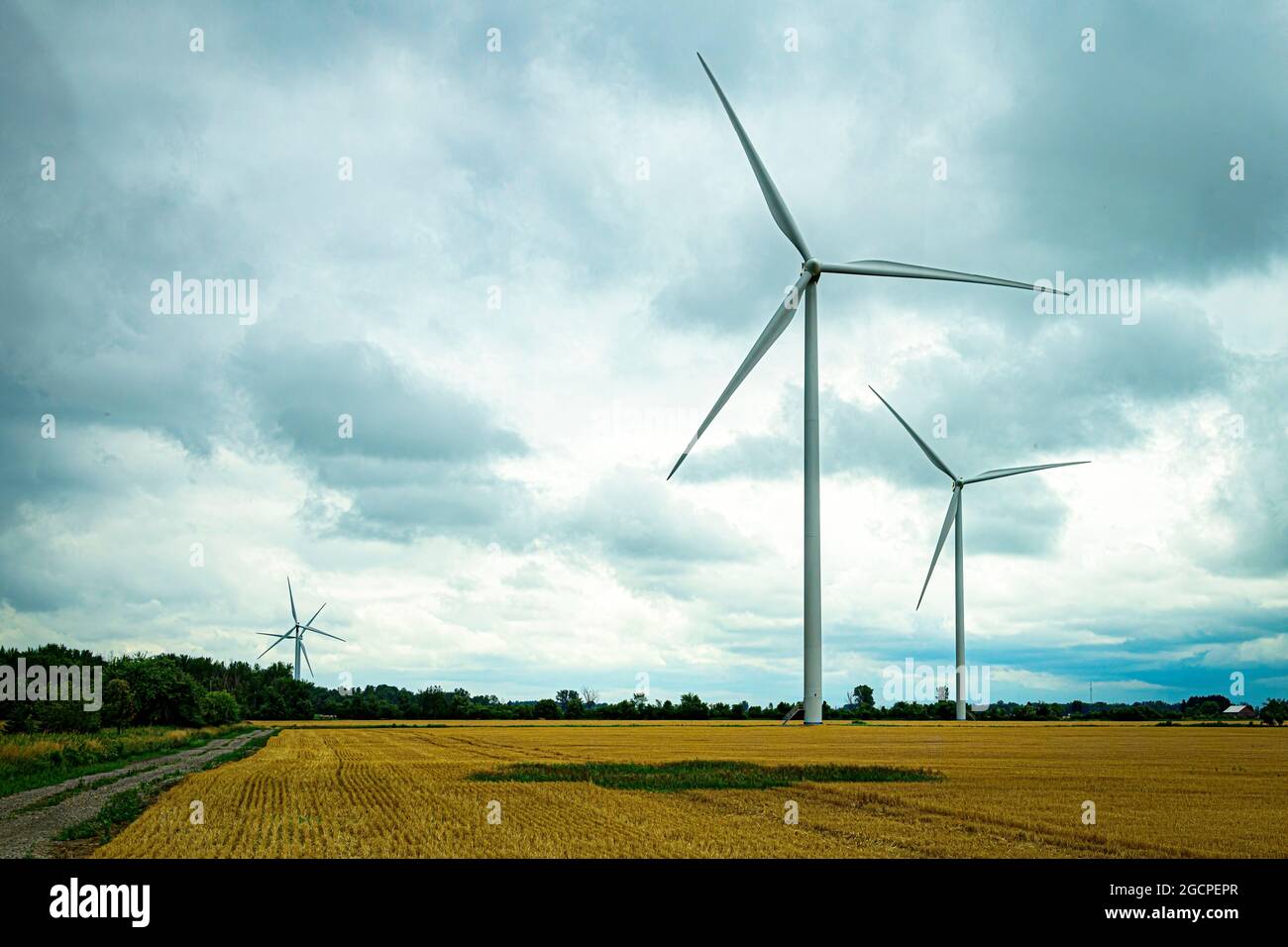 Mehrere Windmühlen in Michigan erzeugen Strom auf Ackerland Stockfoto