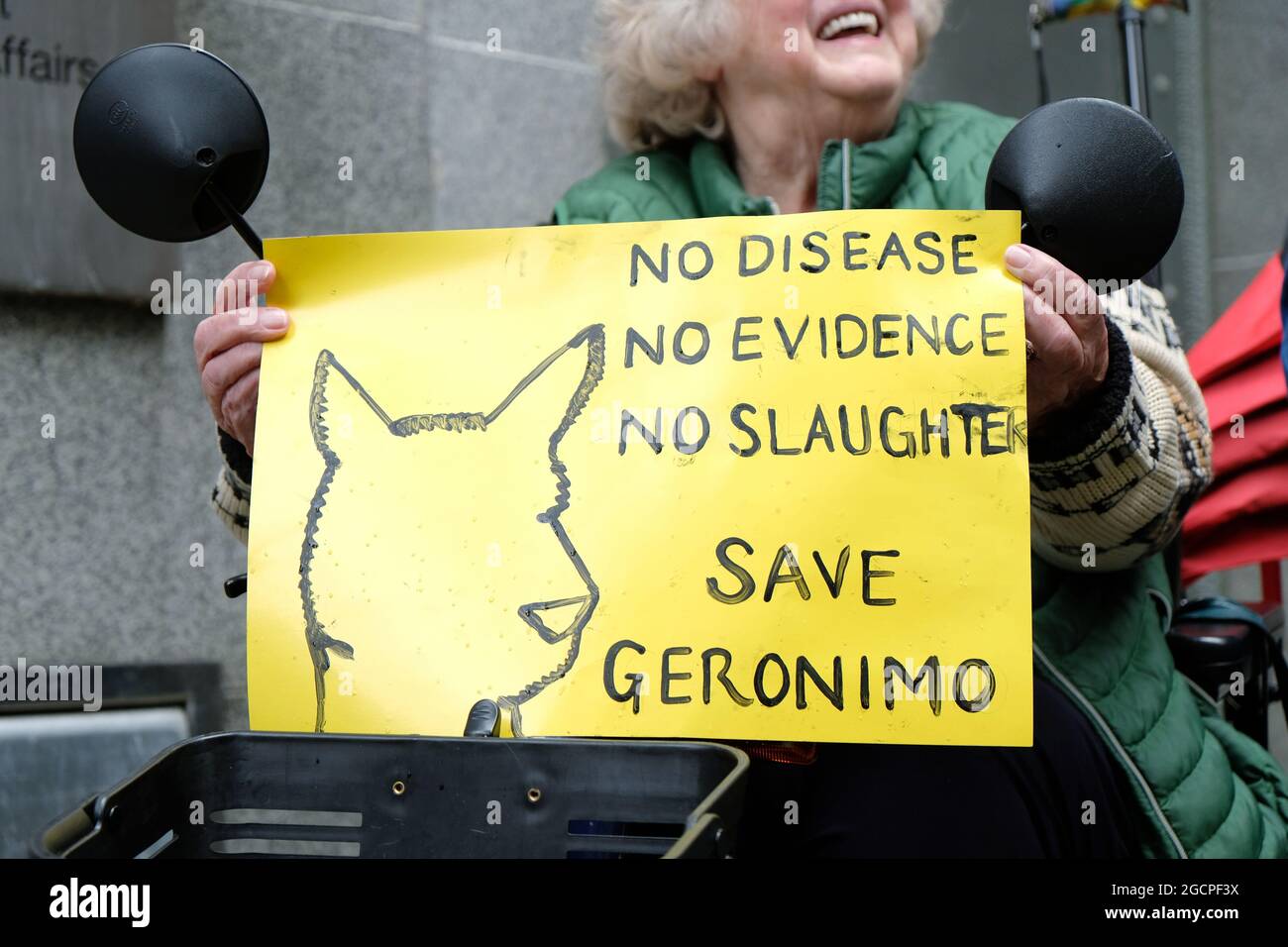 London, Großbritannien. Ein Protestler hält ein Plakat auf einer Demonstration gegen die Tötung von Geronimo, einem Alpaka, der positiv auf Rindertuberkupsie getestet wurde, hoch. Stockfoto