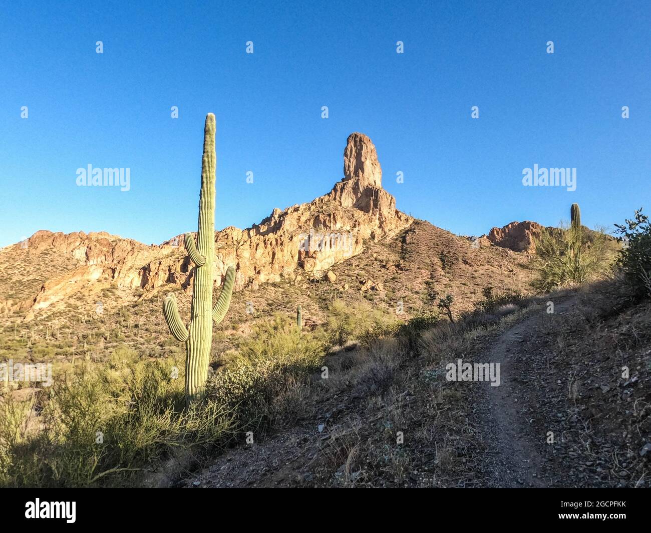 Landschaften entlang der Superstition Mountains auf dem Arizona Trail, Arizona, USA Stockfoto