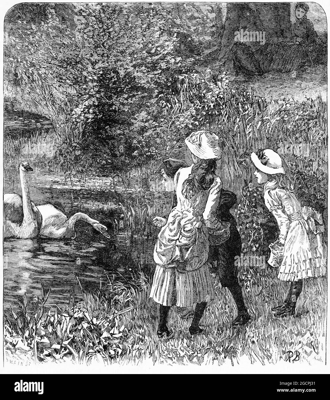 Gravur eines kleinen Jungen hinter einem Baum, der einige Mädchen beobachtet, die Schwäne im Teich füttern, um 1890 Stockfoto
