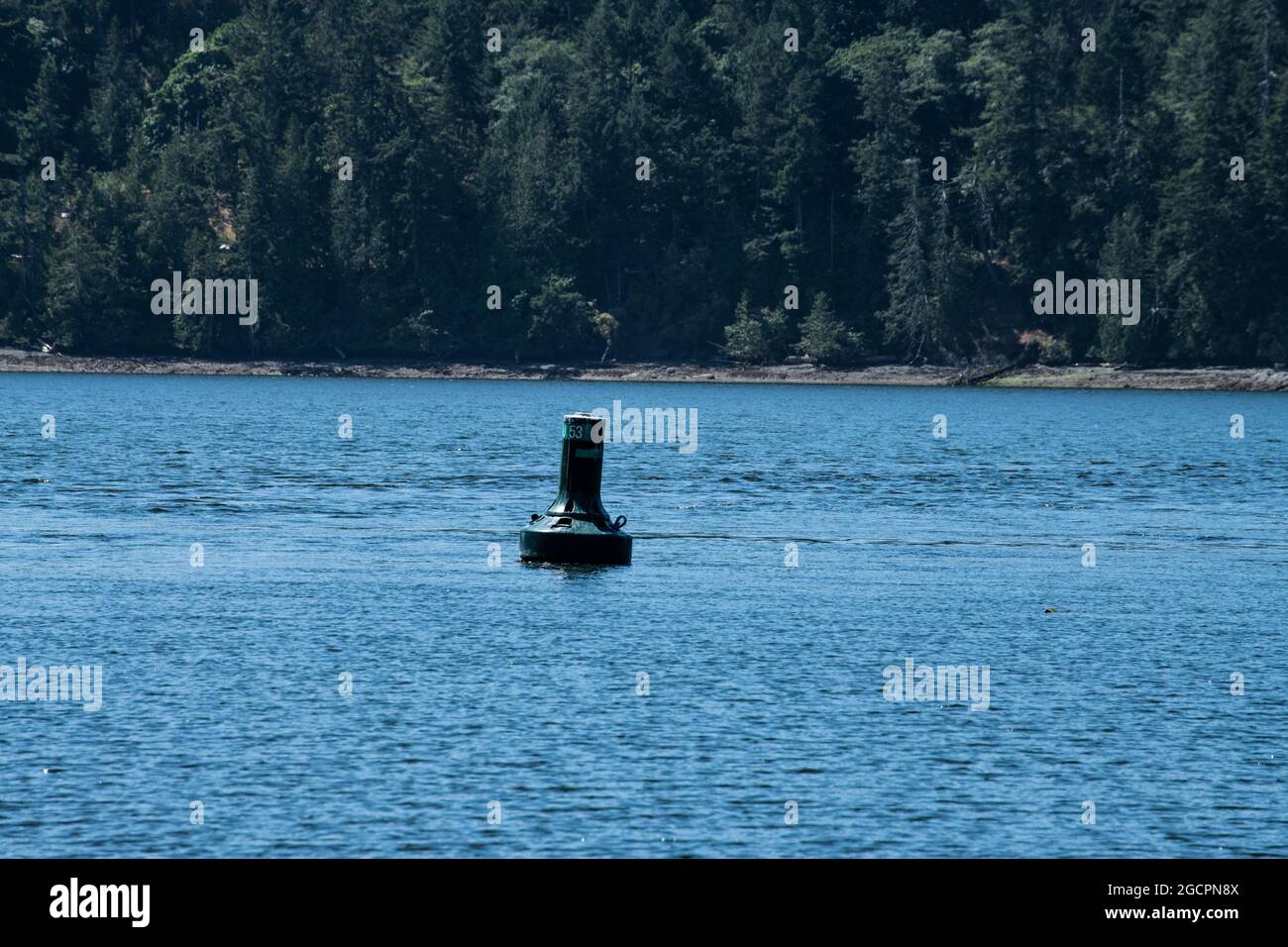 Hafenboje in Active Pass, British Columbia, Kanada Stockfoto