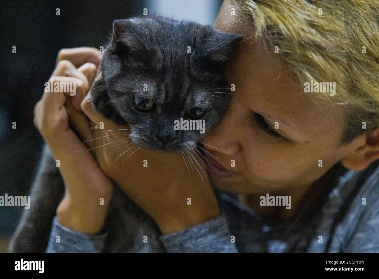 Tierische und menschliche Liebe. Schwarze Kätzchen werden von seinem Besitzer kuschelt. Die blonde Frau drückt zärtlich ihren Kopf gegen die junge Katze Stockfoto