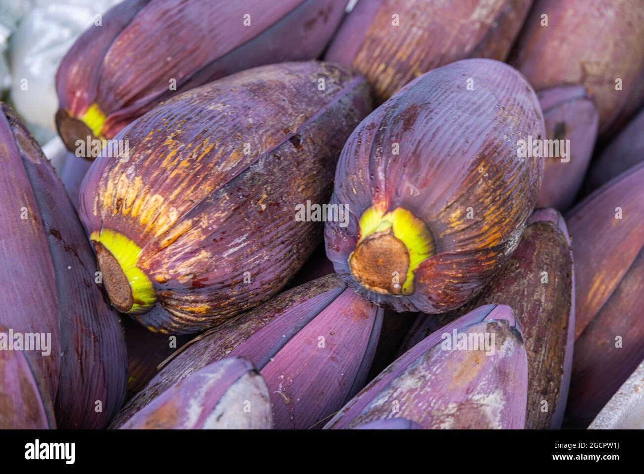 Ein Haufen Bananenblüten oder Bananenherz auf einem Tresen in einem frischen Markt in Kuala Lumpur, Malaysia. Die Bananenblume wird in asien zum Kochen als verwendet Stockfoto