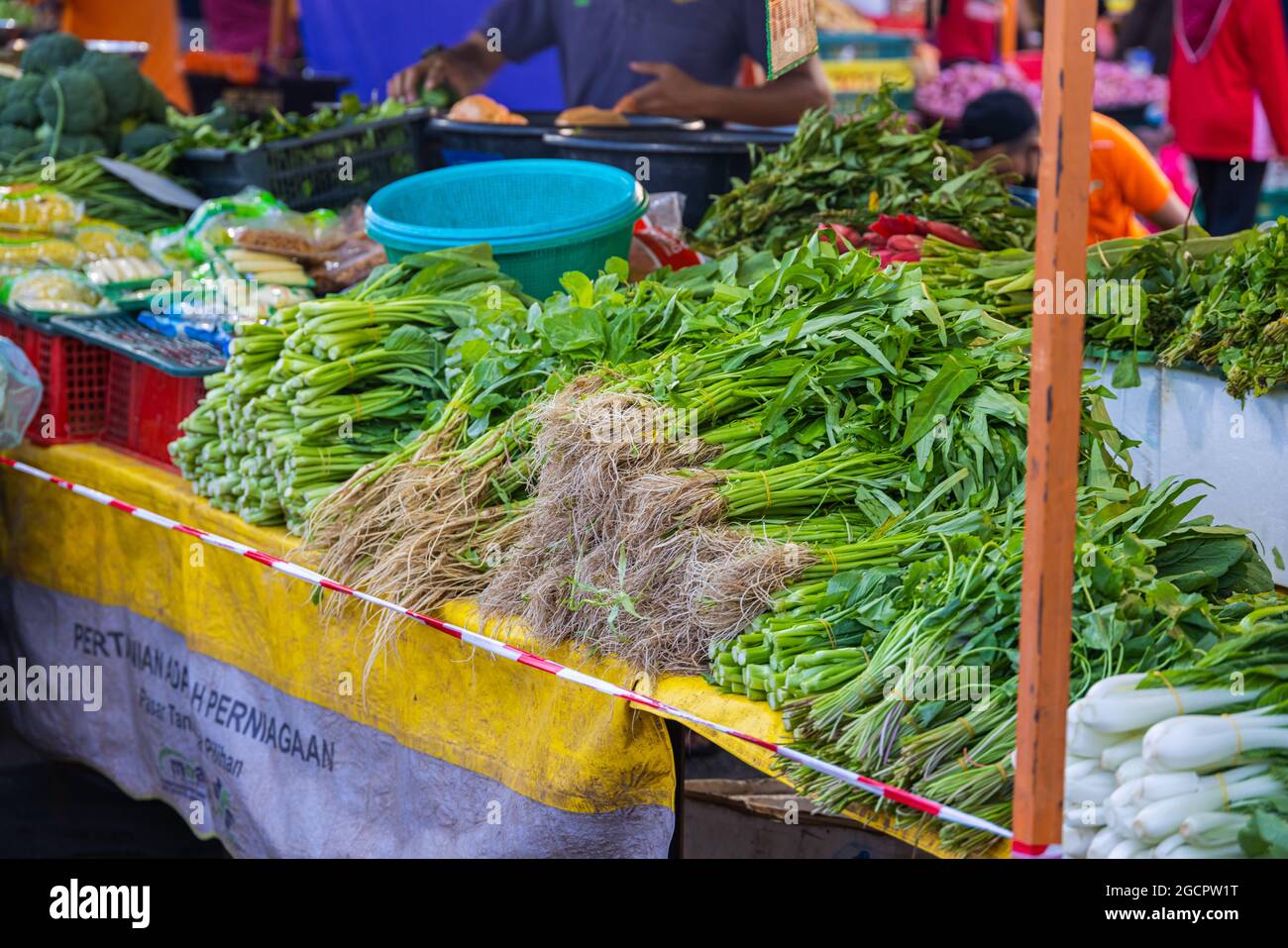 Gemüse auf einer Theke eines Gemüsestandals auf dem Frischmarkt. Kangkung oder Wasserspinat auf der Theke eines Veggie-Verkäufers in Kuala Lumpur, Malaysi Stockfoto