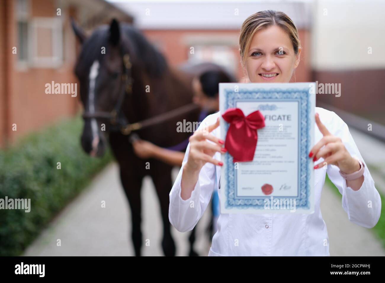Frau Tierärztin mit Ausbildungszertifikat auf Pferd Hintergrund Stockfoto