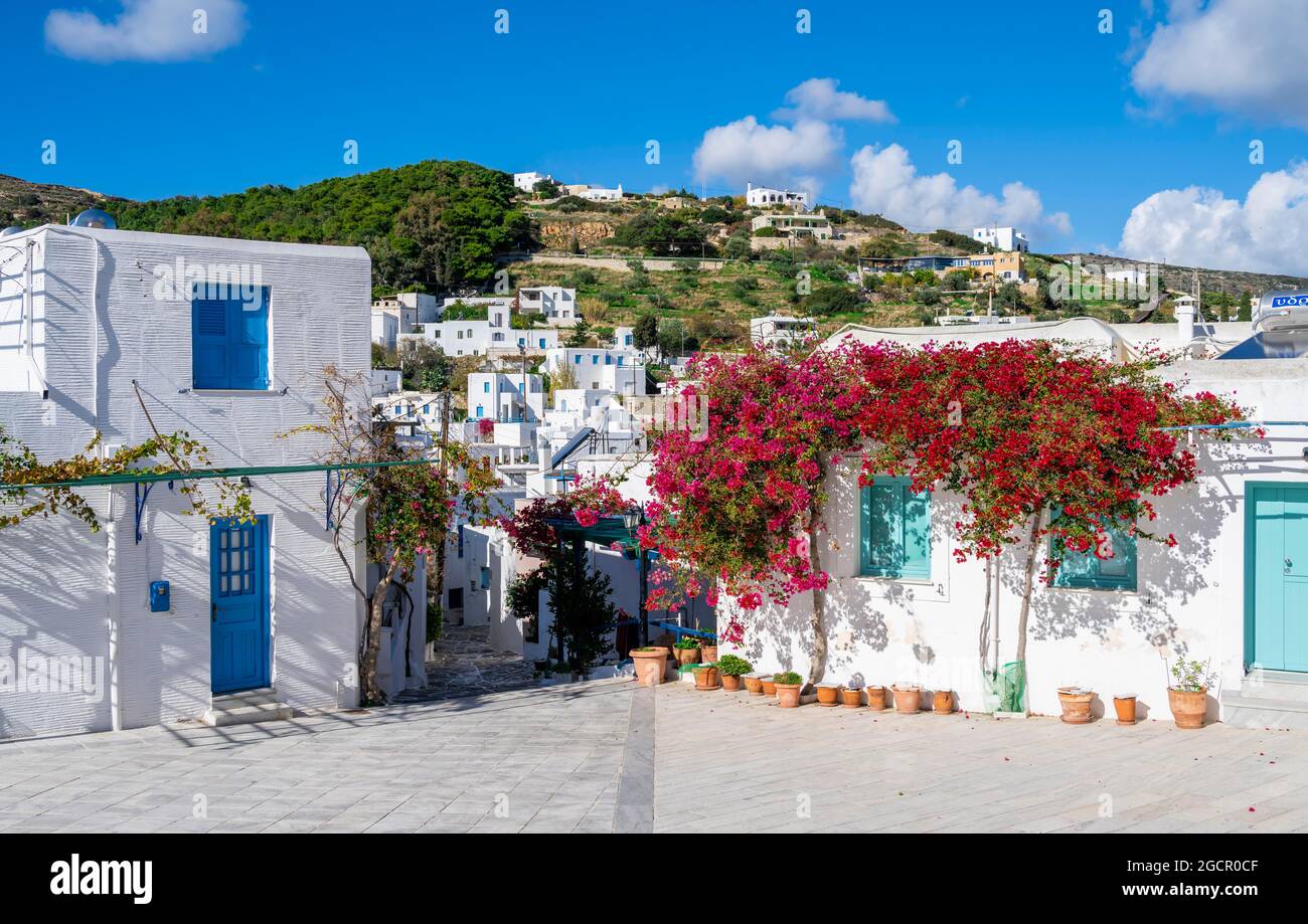 Weiß und blau kykladische Häuser mit Blumen, Altstadt von Lefkes, Paros, Kykladen, Griechenland Stockfoto
