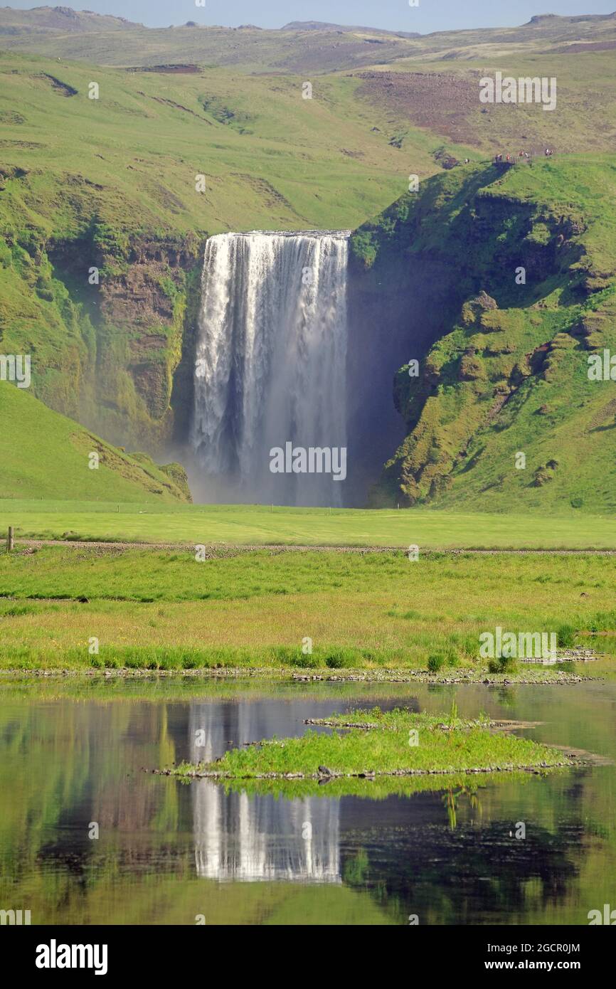 Wassermassen stürzen senkrecht in die Tiefe, Spiegelung im Wasser, grüne Landschaft, Skogafoss, Island Stockfoto