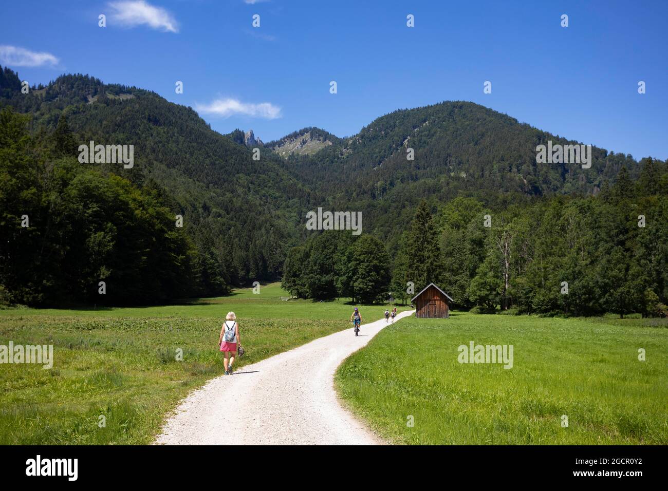 Wanderer auf dem Weg vom Schwarzensee zur Moosalm Gemeinde St.Wolfgang, Salzkammergut, Oberösterreich, Österreich Stockfoto