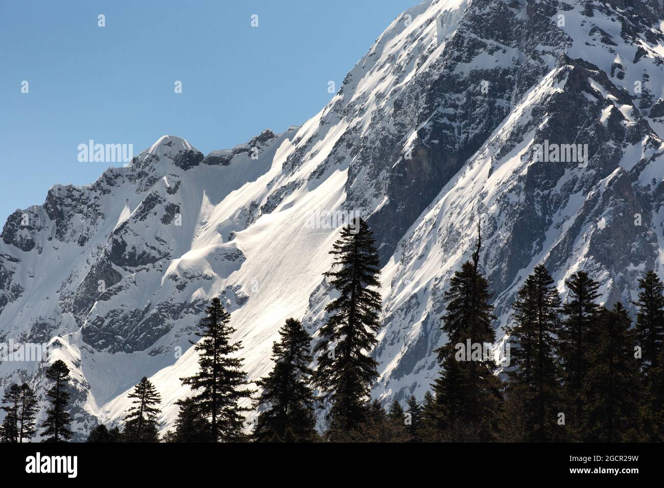 Schneebedeckte Berge gegen klaren blauen Himmel, Dombay, Carachay-Chercessiya, Russland Stockfoto