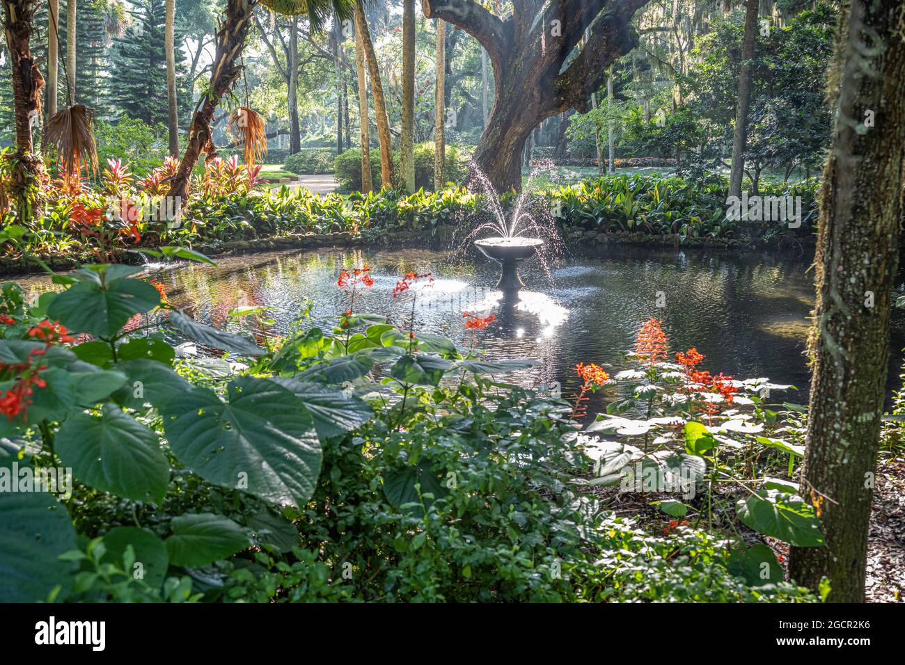 Formelle Gärten im wunderschönen Washington Oaks Gardens State Park in Palm Coast, Florida. (USA) Stockfoto
