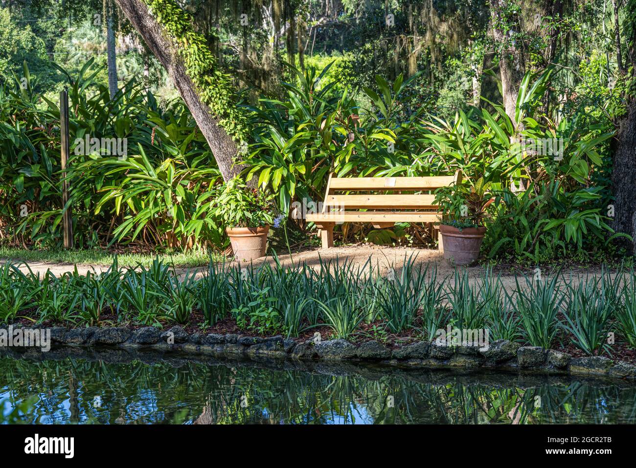 Sonnenbeleuchtete Bank entlang eines Gartenpfades im Washington Oaks Gardens State Park in Palm Coast, Florida. (USA) Stockfoto