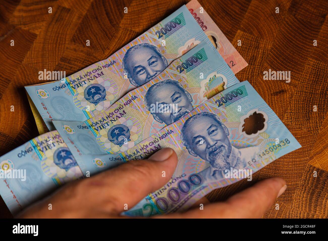 Die männliche Hand hält einen Fan der vietnamesischen Dong-Banknote, der Währung Vietnams. Nahaufnahme Polymer Money of Vietnam. 20000 Dong oder VND in männlicher Hand. In Fro Stockfoto