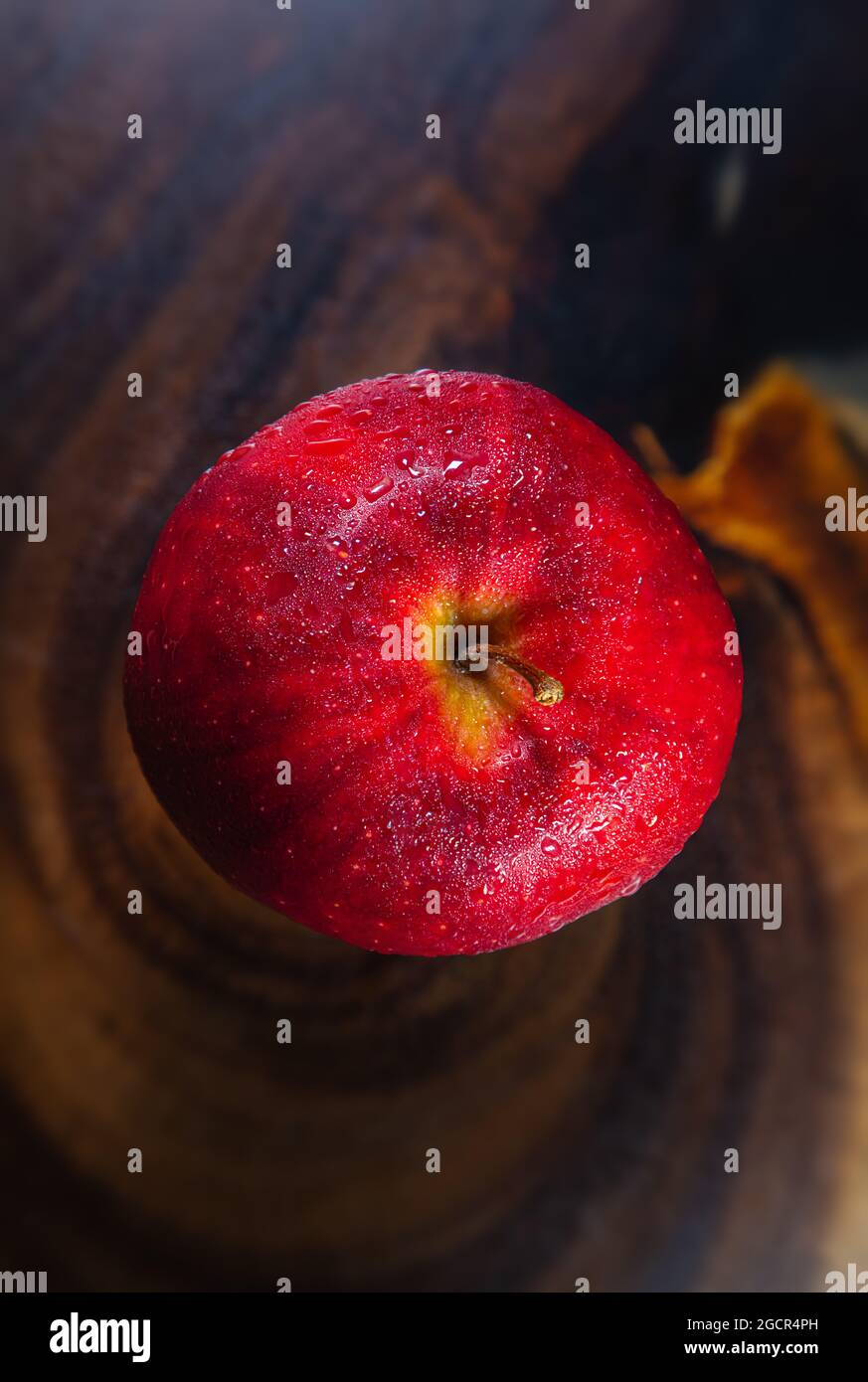 Eine Nahaufnahme eines frischen roten Apfels auf einem Holztisch. Wasser tropft auf die Oberfläche des sogenannten Weihnachtsapfels. Makrofotografie Stockfoto