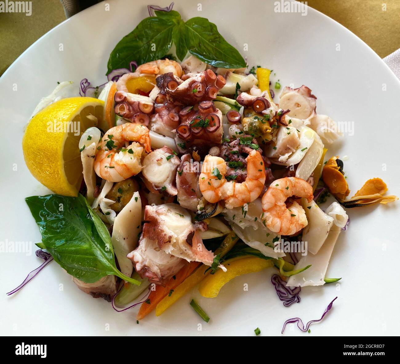 Frischer mediterraner Seafood-Salat. Sommersalat mit Meeresfrüchten von oben Stockfoto