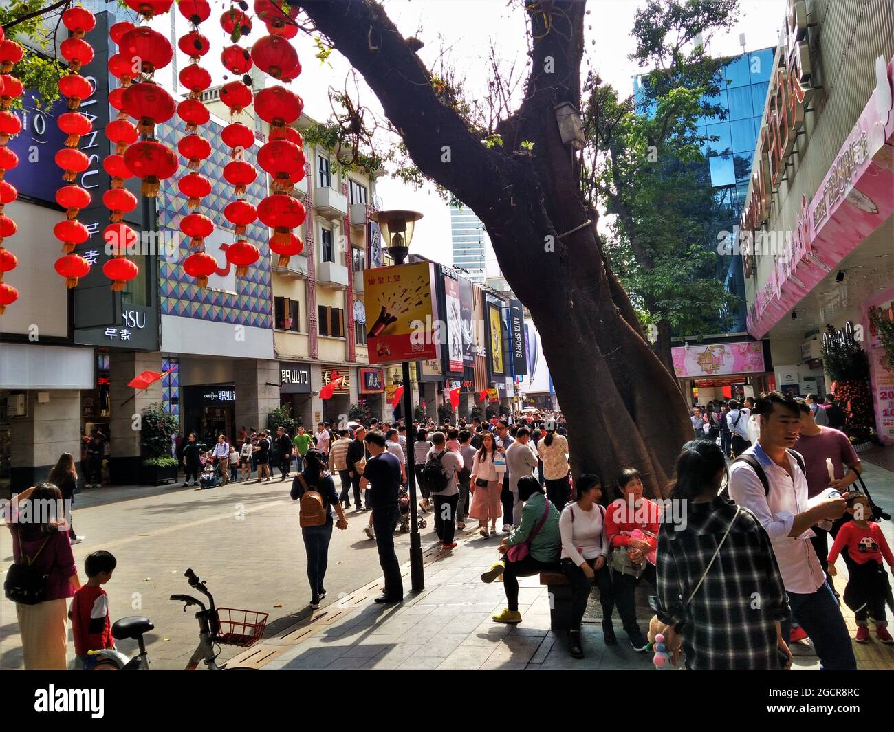 Alte Damen sitzen unter einem riesigen Baum an der Beijing Road in Guangzhou mit vielen Touristen vor dem vietnamesischen Restaurant Tiger Prawn. Stockfoto