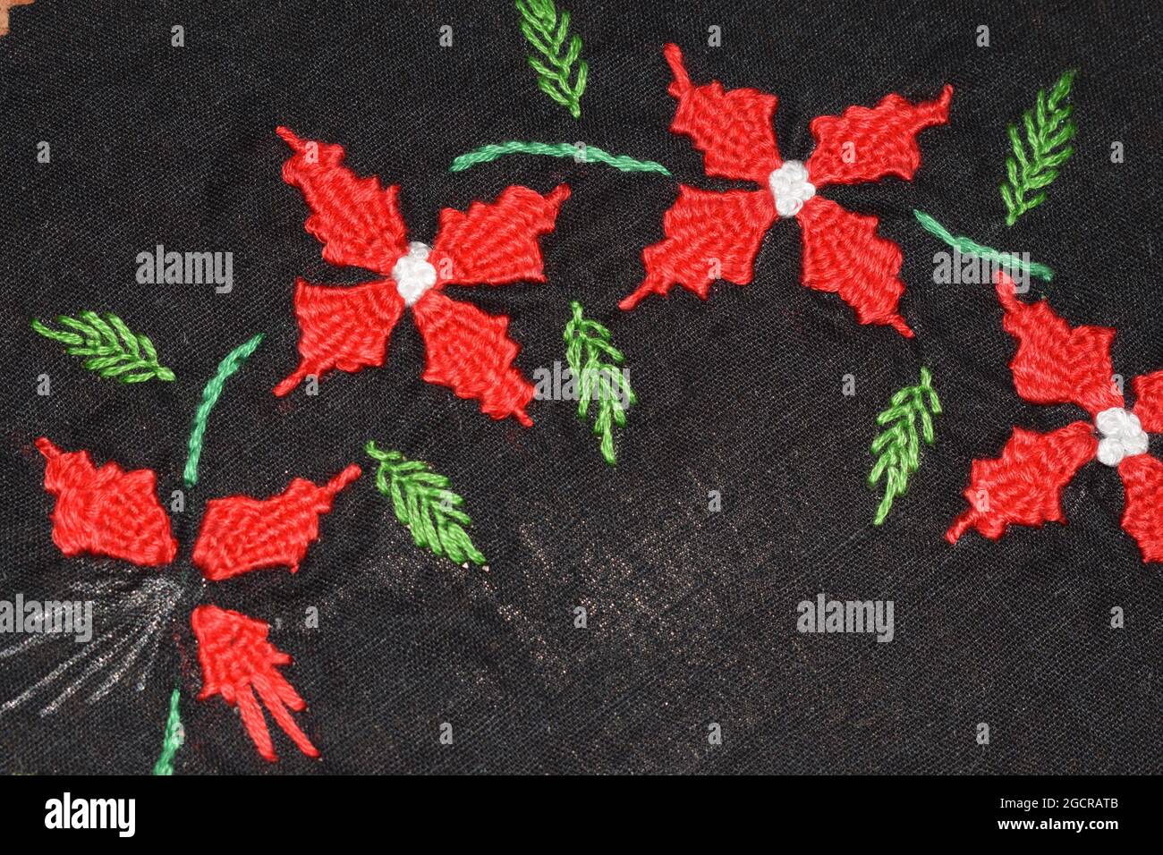 Brasilianische Stickerei Blume Weinstock Design mit einfarbigen gewebten Nähtechnik, die möglich ist, die Webtechnik mit anderen Stichen zu kombinieren. Stockfoto