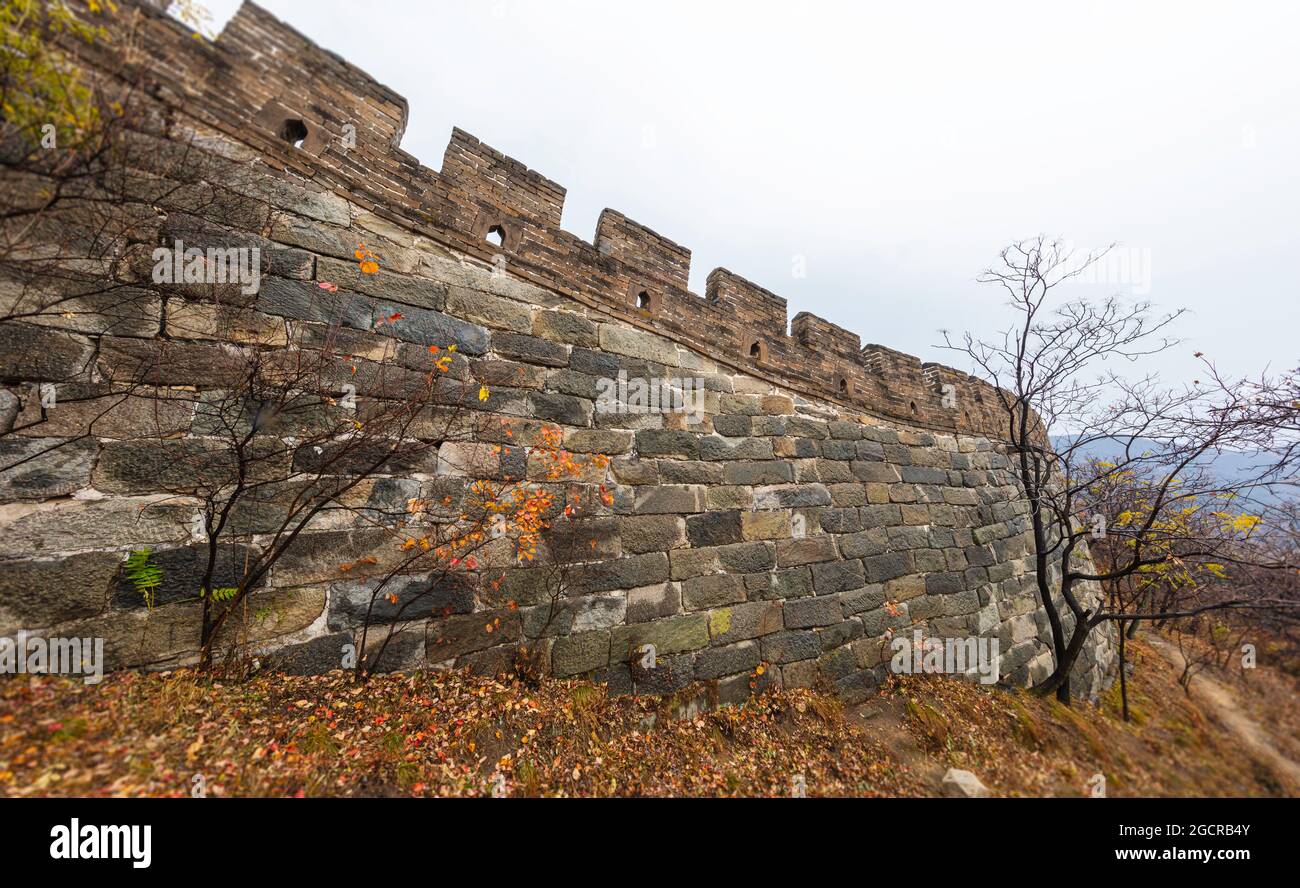 Die Chinesische Mauer, das majestätische große Wahrzeichen Chinas im Herbst, ist von bunten Bäumen umgeben. Die große Mauer, das Symbol Chinas. Eine Bastio Stockfoto