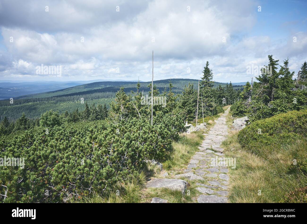 Steinpfad in Karkonosze (Riesengebirge), Tschechische Republik. Stockfoto