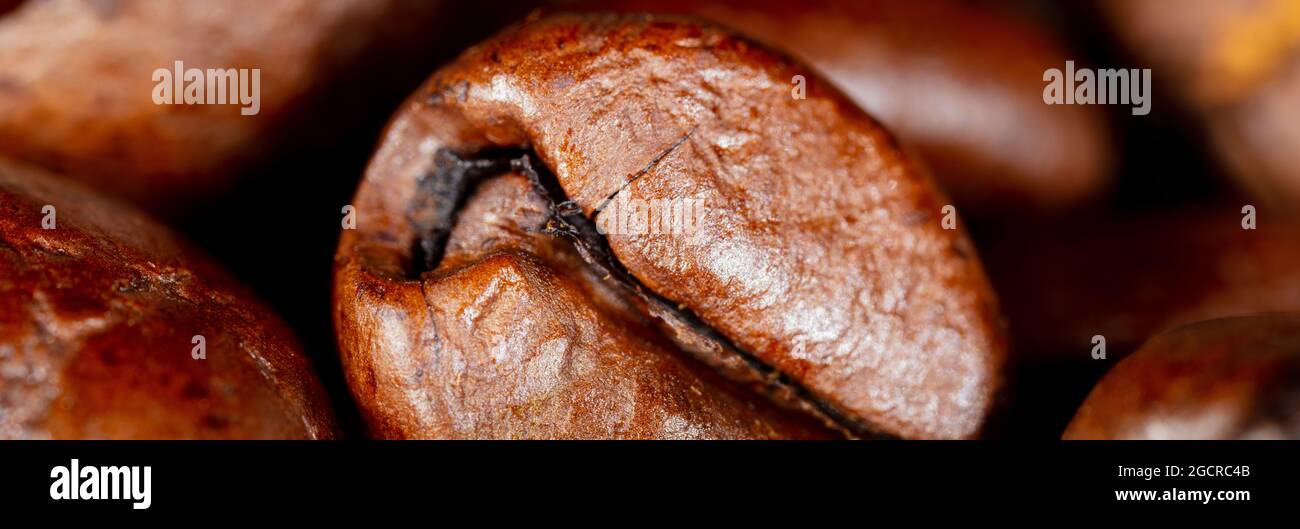 Nahaufnahme einer Kaffeebohne. Makrofotografie von Kaffeebohnen in hoher Auflösung. Detailreiches Ultra-Makro auf einer gerösteten Kaffeebohne. Mikroskopisch kleine Photograpie Stockfoto