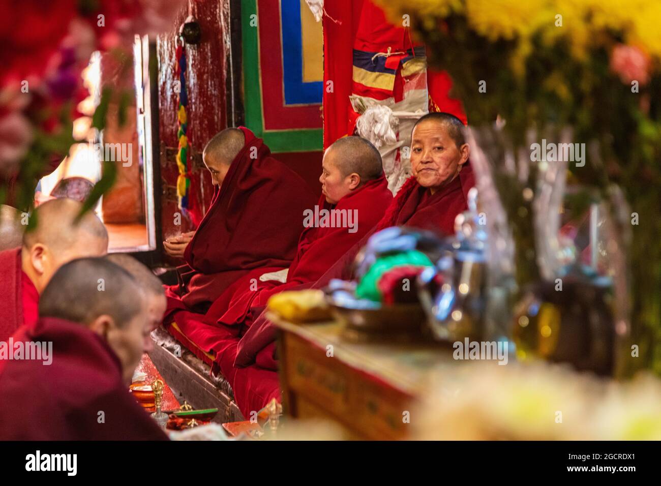 Lhasa, China - 23. Oktober 2020 - Bhikkhunis in traditioneller roter Robe in einem Kloster. Eine buddhistische Nonne oder weibliche Monastiker während des Gebets Stockfoto