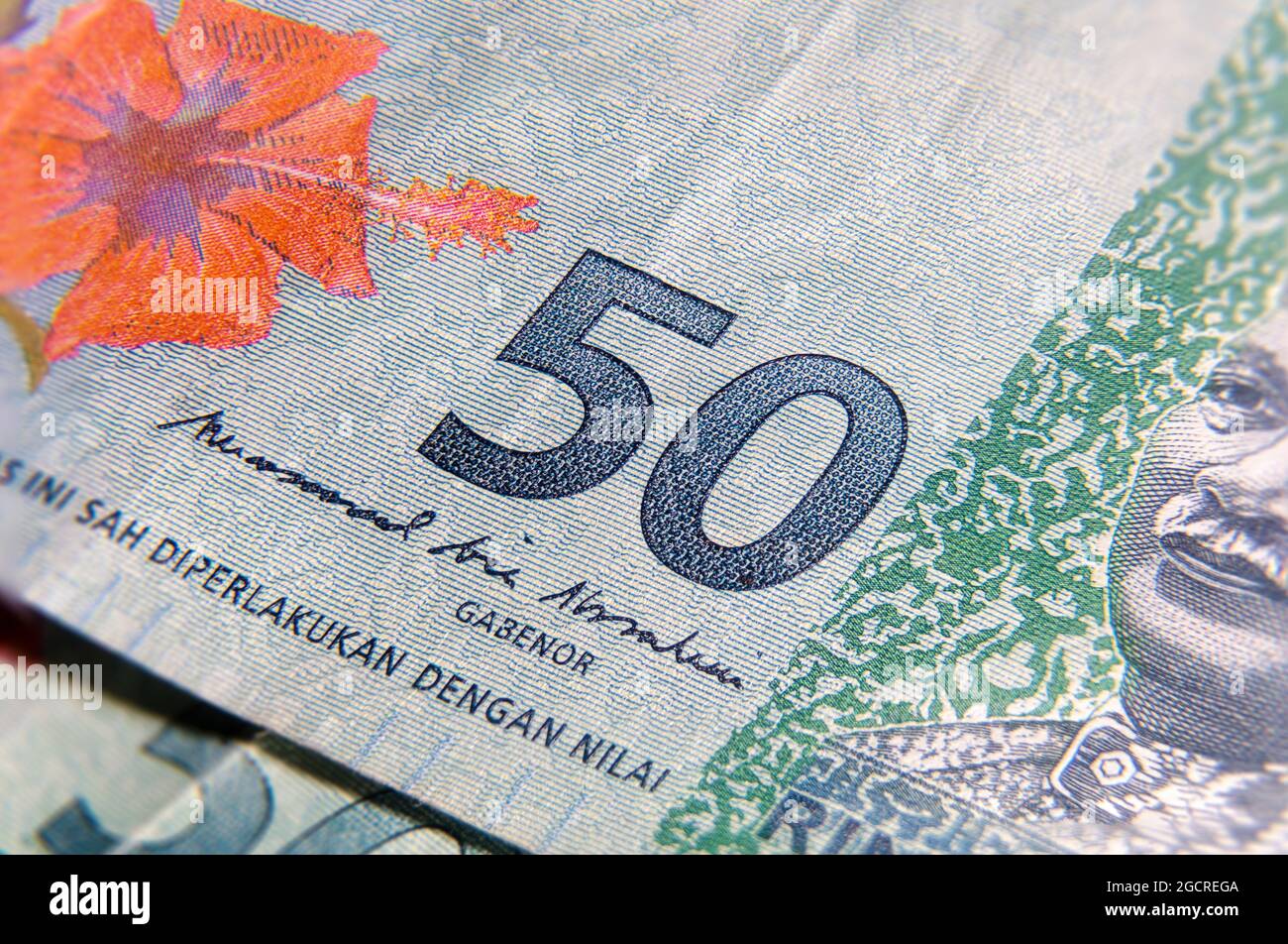 Super Makro-Fotografie von 50 ringgit Malaysia. Extreme Nahaufnahme auf einer 50 RM Banknote. In der Mitte die großen 50. Auf der einen Seite die rote Hibiskusblüte auf der Stockfoto