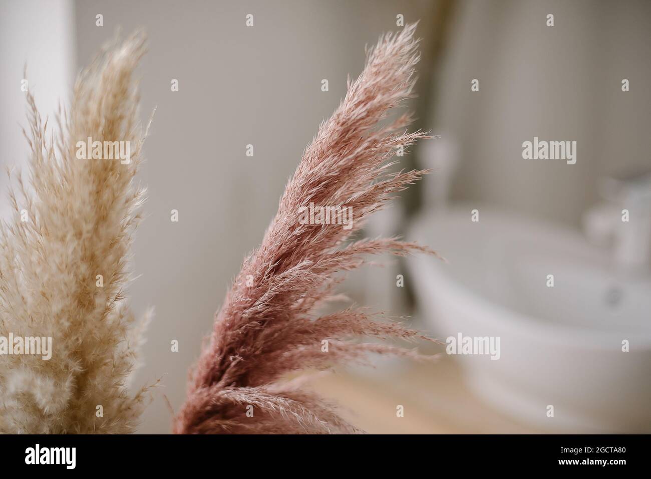 Pampas Gras im Innenraum Og Badezimmer. Boho-Stil in natürlichen Farbtönen und neutralen Farben. Stockfoto