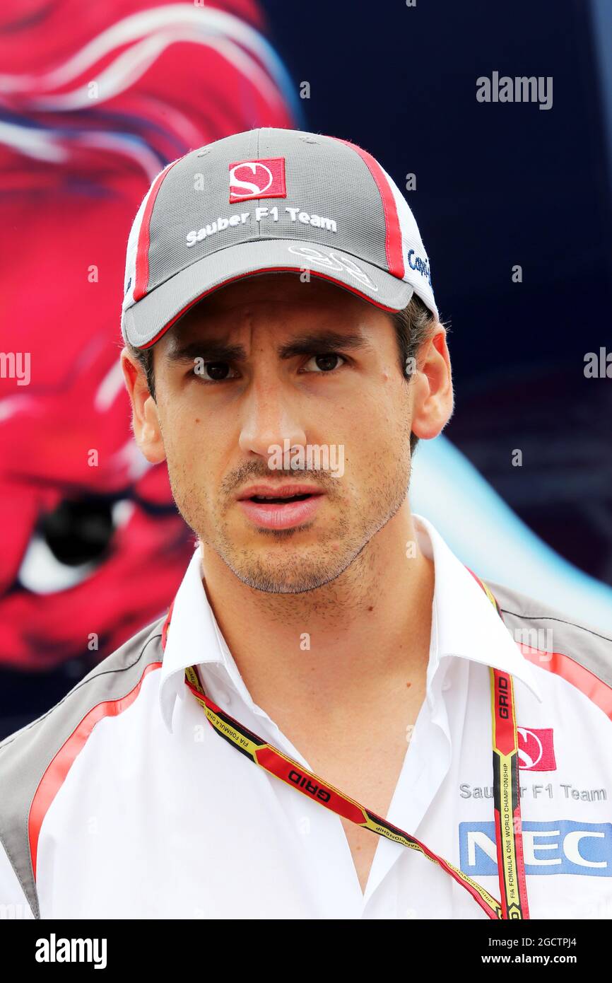 Adrian Sutil (GER) sauber. Großer Preis von Deutschland, Sonntag, 20. Juli 2014. Hockenheim, Deutschland. Stockfoto