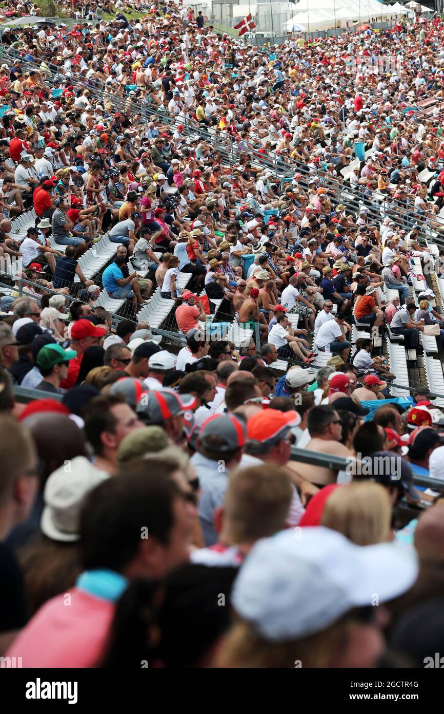 Lüfter. Großer Preis von Ungarn, Samstag, 26. Juli 2014. Budapest, Ungarn. Stockfoto