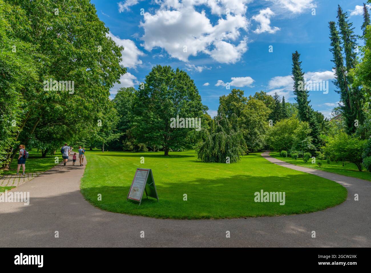 Landesarboretum Exotischer Garten oder Exotischer Garten der Universität Hohenheim, Stuttgart-Hohenheim, Baden-Württemberg, Süddeutschland, Europa Stockfoto