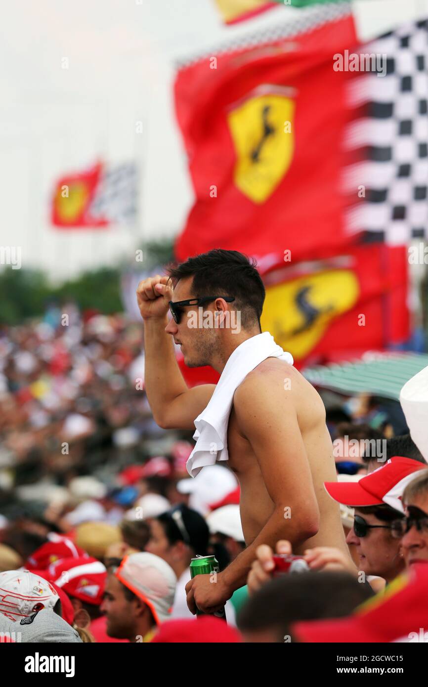 Lüfter. Großer Preis von Ungarn, Samstag, 25. Juli 2015. Budapest, Ungarn. Stockfoto