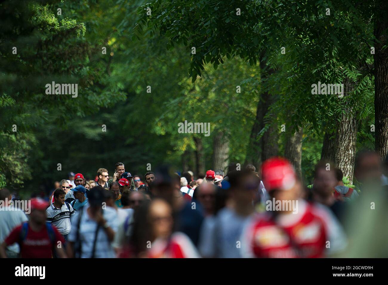 Fans in der Parklandschaft. Großer Preis von Italien, Freitag, 4. September 2015. Monza Italien. Stockfoto