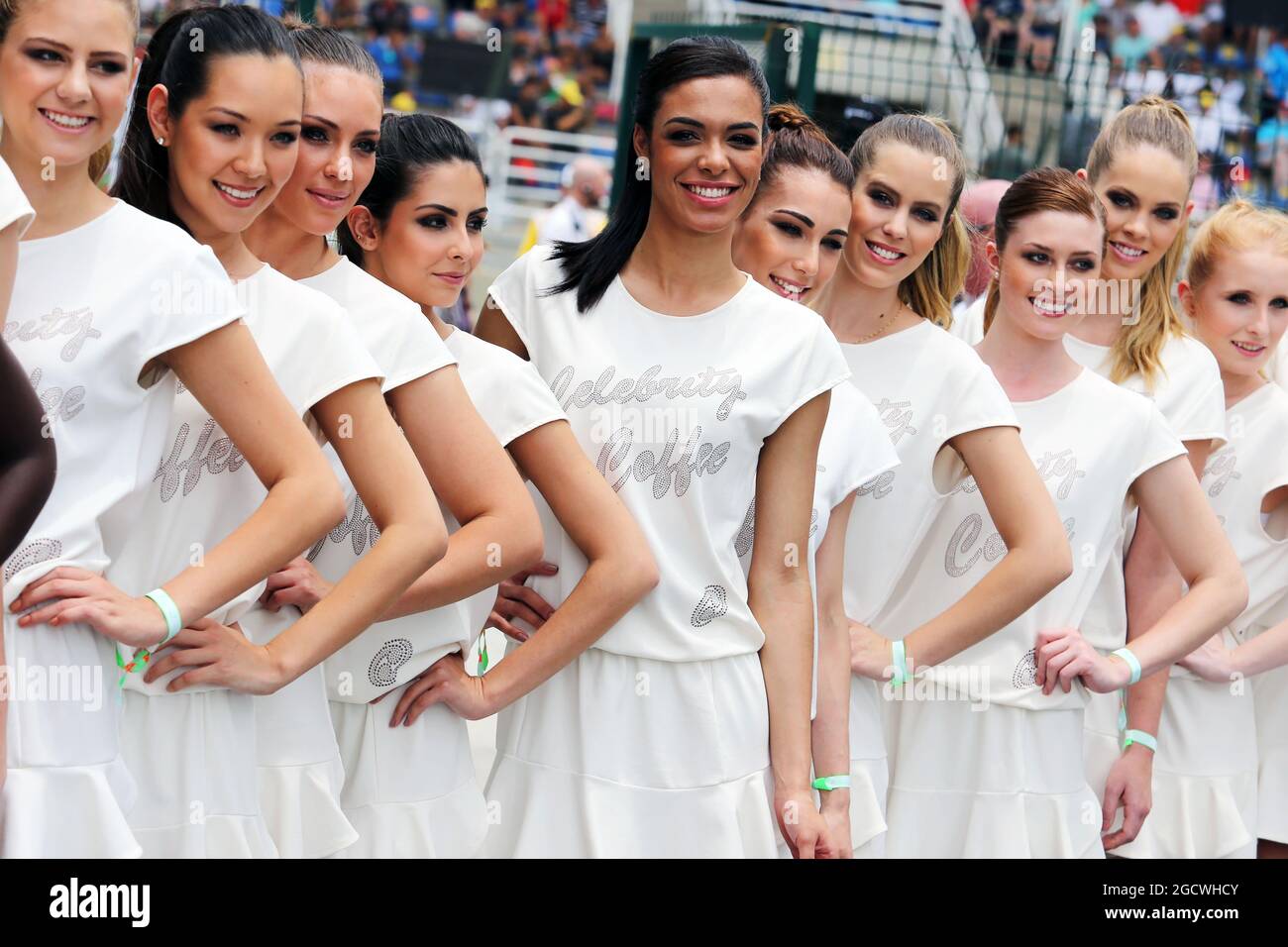 Grid Girls auf der Fahrerparade. Großer Preis von Brasilien, Sonntag, 15. November 2015. Sao Paulo, Brasilien. Stockfoto