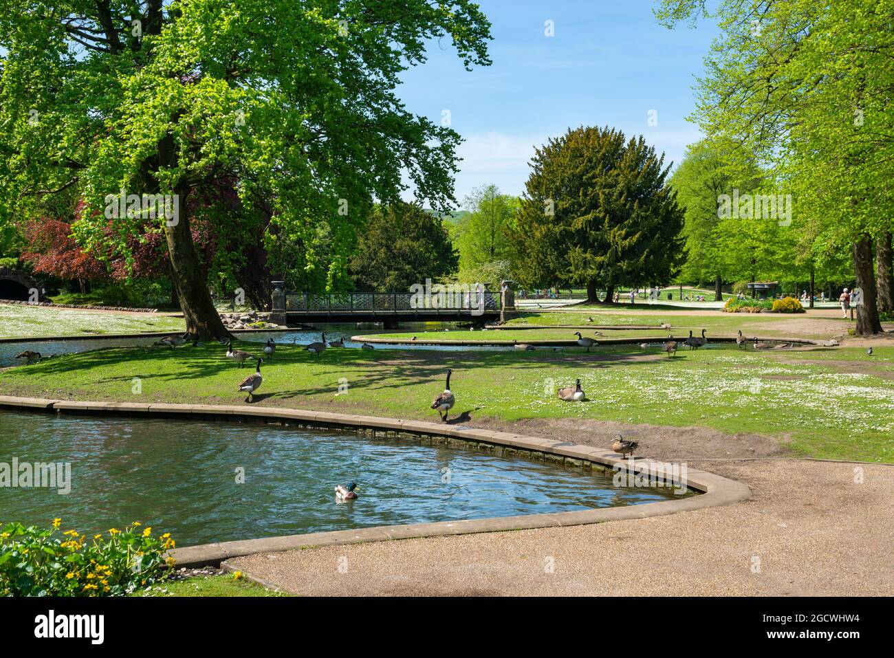 Der öffentliche Park Pavilion Gardens, Buxton, Derbyshire, England an einem sonnigen Tag im Frühsommer. Stockfoto