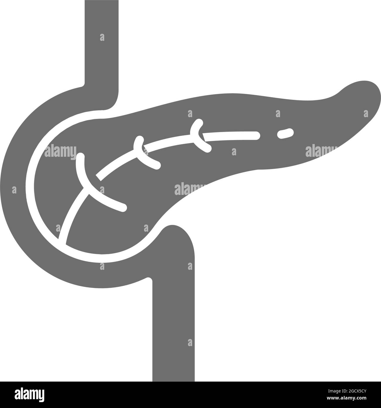 Graues Symbol für Pankreas, menschliches Organ. Isoliert auf weißem Hintergrund Stock Vektor
