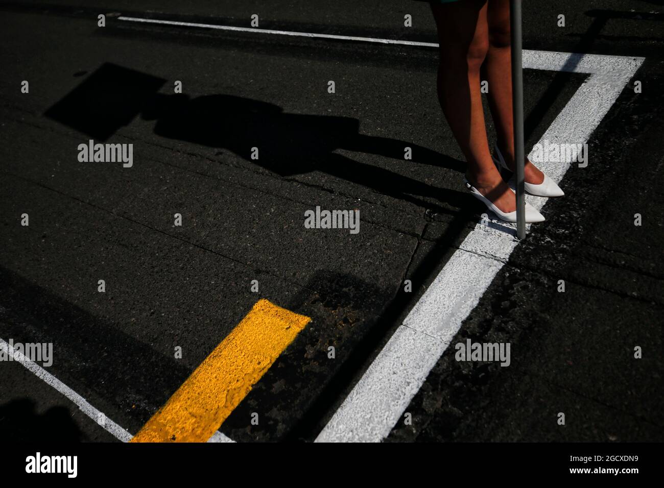 Gittertes Mädchen. Großer Preis von Australien, Sonntag, 26. März 2017. Albert Park, Melbourne, Australien. Stockfoto