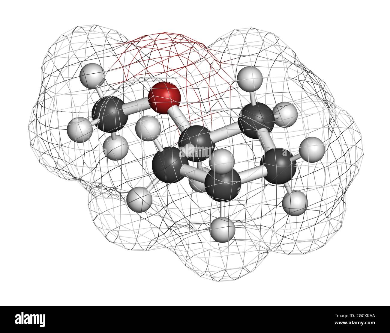 3D-Rendering von Cyclopentylmethylether-Lösungsmolekülen. Stockfoto
