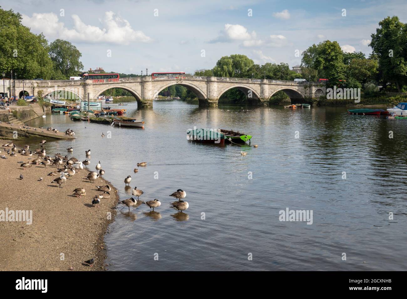 River Thames and Richmond Bridge, Richmond, Surrey, England, Vereinigtes Königreich, Europa Stockfoto