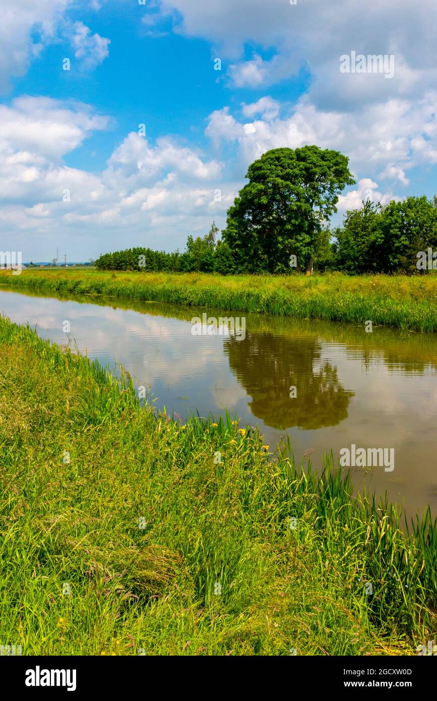 Der Steeping River in der Nähe von Wainflet All Saints in Lincolnshire East Midlands England Stockfoto