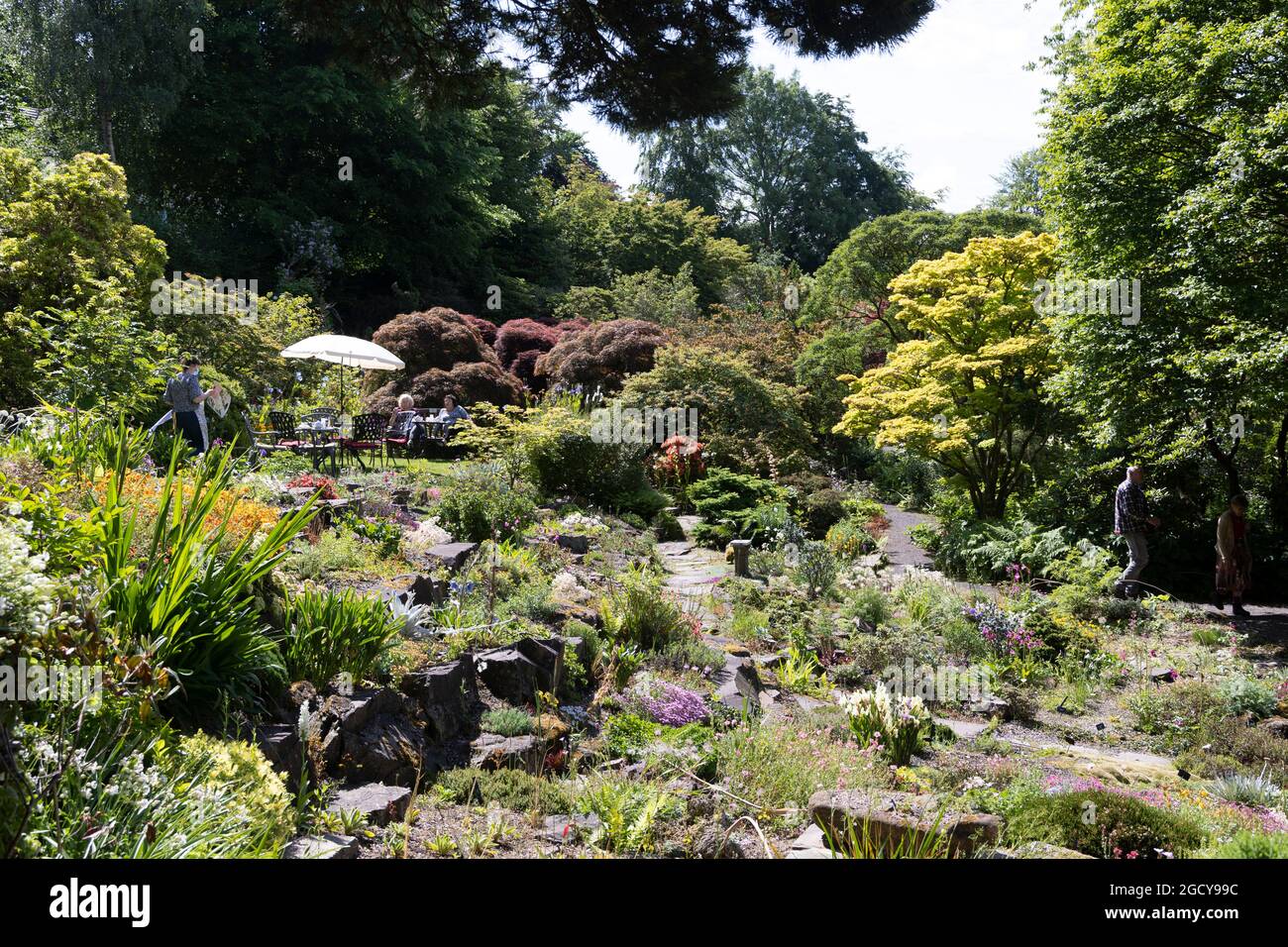Branklyn Gardens, Perth. Dieser attraktive Garten, eine friedliche Oase in Gehweite zum Stadtzentrum von Perth, wurde von John und Dorothy entwickelt Stockfoto