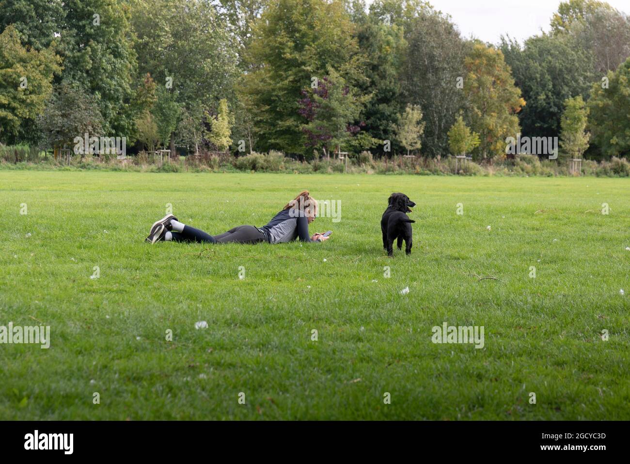 Lone Girl liest im Park von Stratford, während ihr treuer Labrador-Hund ihre Gesellschaft behält Stockfoto