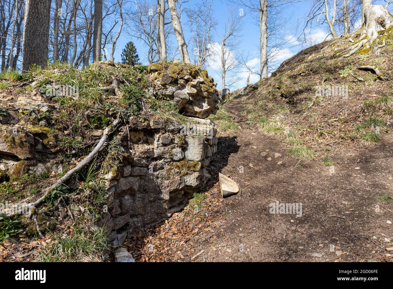 Bodendenkmal Erichsburg Burgen und Schlösser im Harz Stockfoto