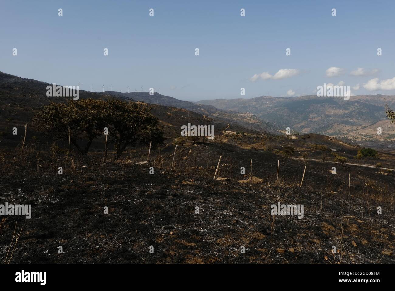 Große Brandstiftung in der Nähe der Stadt Gangi in der Provinz Palermo auf Sizilien. Viele Feldfrüchte und verbrannte Wälder, Bauernautos und sogar Zuchttiere, die von den Flammen verbrannt wurden. Stockfoto